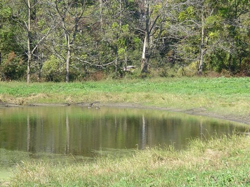 Property photo 12 - 81.464 Acres in 1 Tract