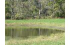 Property photo 12 - 81.464 Acres in 1 Tract