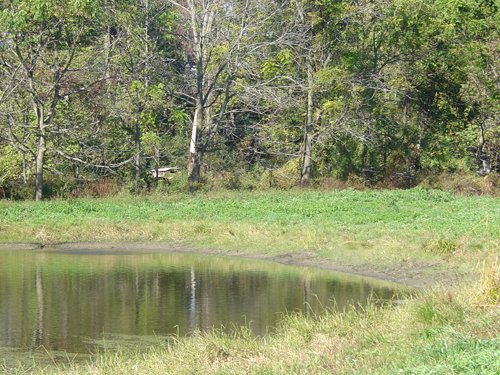 Property photo 2 - 81.464 Acres in 1 Tract