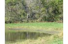 Property photo 2 - 81.464 Acres in 1 Tract