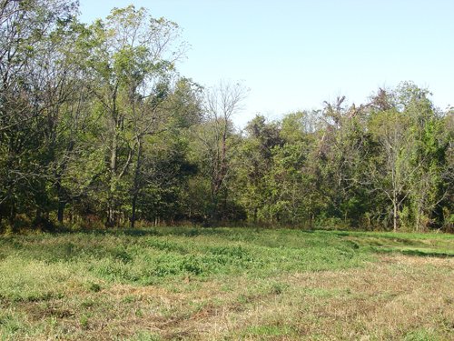 Property photo 6 - 81.464 Acres in 1 Tract