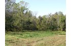Property photo 6 - 81.464 Acres in 1 Tract