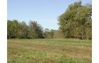 Property photo 8 - 81.464 Acres in 1 Tract