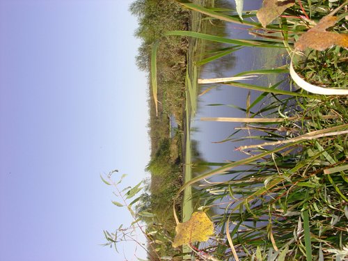 Property photo 20 - 81.464 Acres in 1 Tract
