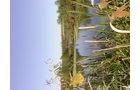 Property photo 20 - 81.464 Acres in 1 Tract
