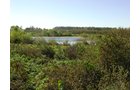 Property photo 15 - 81.464 Acres in 1 Tract