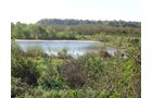 Property photo 5 - 81.464 Acres in 1 Tract