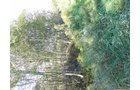 Property photo 19 - 81.464 Acres in 1 Tract