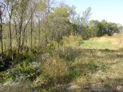 Property photo 18 - 81.464 Acres in 1 Tract