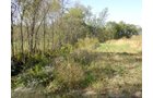 Property photo 18 - 81.464 Acres in 1 Tract