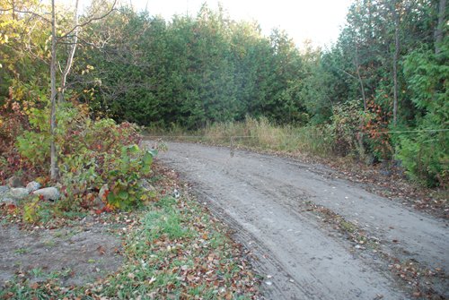 Property photo 46 - 120+/- Acres & Lake Cottage, Lots & Former Wood Saw Mill