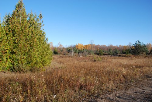 Property photo 37 - 120+/- Acres & Lake Cottage, Lots & Former Wood Saw Mill