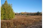 Property photo 37 - 120+/- Acres & Lake Cottage, Lots & Former Wood Saw Mill