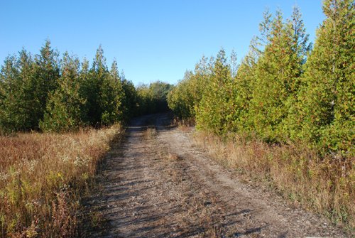 Property photo 7 - 120+/- Acres & Lake Cottage, Lots & Former Wood Saw Mill