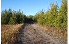 Property photo 7 - 120+/- Acres & Lake Cottage, Lots & Former Wood Saw Mill
