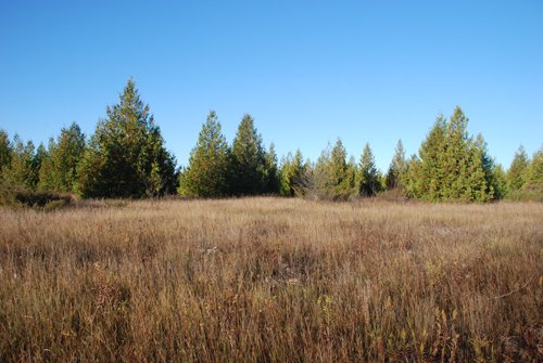 Property photo 38 - 120+/- Acres & Lake Cottage, Lots & Former Wood Saw Mill