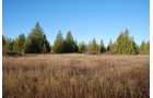 Property photo 38 - 120+/- Acres & Lake Cottage, Lots & Former Wood Saw Mill