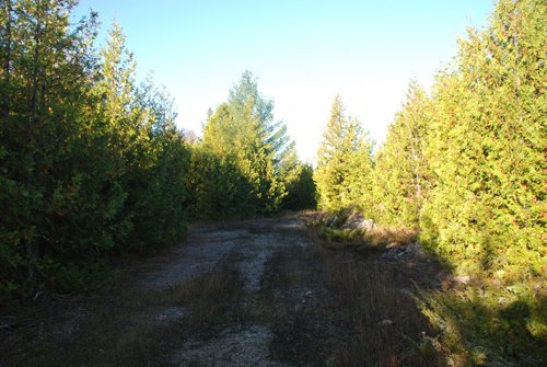 Property photo 39 - 120+/- Acres & Lake Cottage, Lots & Former Wood Saw Mill