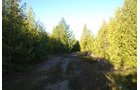 Property photo 39 - 120+/- Acres & Lake Cottage, Lots & Former Wood Saw Mill