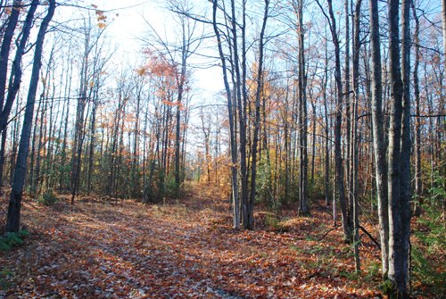 Property photo 22 - 120+/- Acres & Lake Cottage, Lots & Former Wood Saw Mill