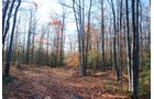 Property photo 22 - 120+/- Acres & Lake Cottage, Lots & Former Wood Saw Mill