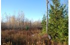 Property photo 30 - 120+/- Acres & Lake Cottage, Lots & Former Wood Saw Mill