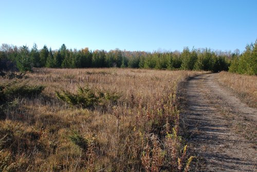 Property photo 29 - 120+/- Acres & Lake Cottage, Lots & Former Wood Saw Mill