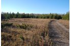 Property photo 29 - 120+/- Acres & Lake Cottage, Lots & Former Wood Saw Mill