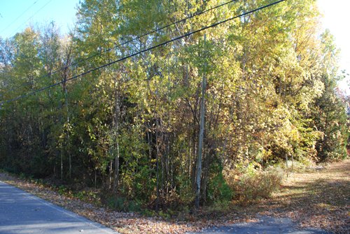 Property photo 47 - 120+/- Acres & Lake Cottage, Lots & Former Wood Saw Mill