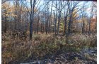 Property photo 2 - 120+/- Acres & Lake Cottage, Lots & Former Wood Saw Mill
