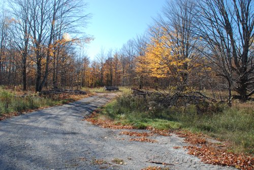 Property photo 16 - 120+/- Acres & Lake Cottage, Lots & Former Wood Saw Mill