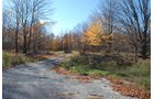 Property photo 16 - 120+/- Acres & Lake Cottage, Lots & Former Wood Saw Mill