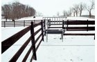 Property photo 14 - Wakeland Public Auction