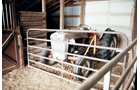 Property photo 19 - Wakeland Public Auction