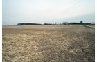Property photo 5 - 110 Acres Offered in 3 Tracts