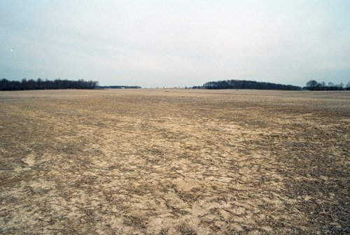 Property photo 9 - 110 Acres Offered in 3 Tracts