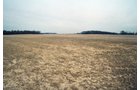 Property photo 9 - 110 Acres Offered in 3 Tracts