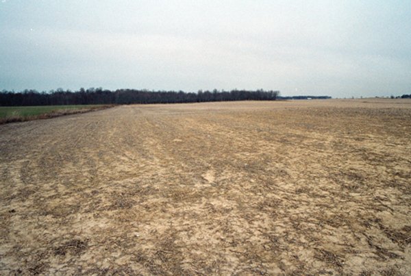 110 Acres Offered in 3 Tracts