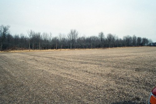 Property photo 2 - 110 Acres Offered in 3 Tracts