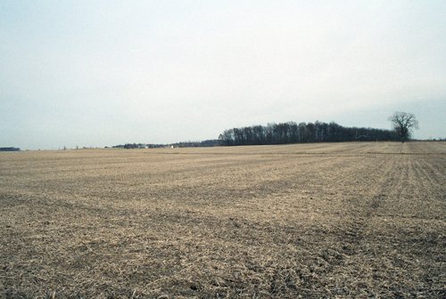 Property photo 12 - 110 Acres Offered in 3 Tracts