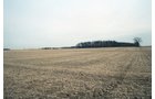 Property photo 12 - 110 Acres Offered in 3 Tracts