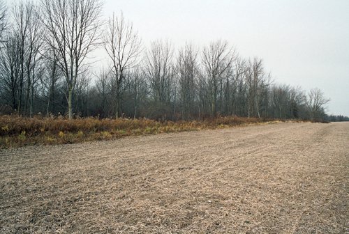 Property photo 8 - 110 Acres Offered in 3 Tracts