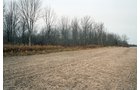 Property photo 8 - 110 Acres Offered in 3 Tracts