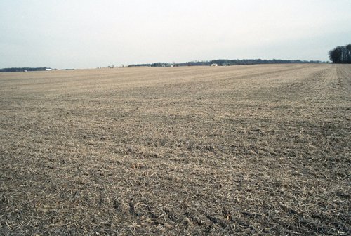 Property photo 3 - 110 Acres Offered in 3 Tracts