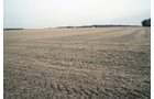 Property photo 3 - 110 Acres Offered in 3 Tracts