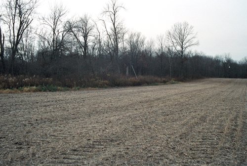 Property photo 7 - 110 Acres Offered in 3 Tracts