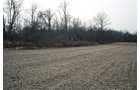 Property photo 7 - 110 Acres Offered in 3 Tracts
