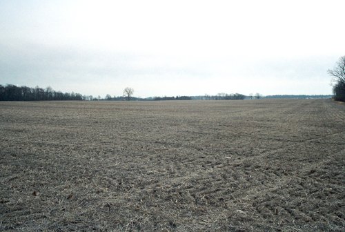 Property photo 11 - 110 Acres Offered in 3 Tracts