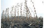 Property photo 1 - 110 Acres Offered in 3 Tracts