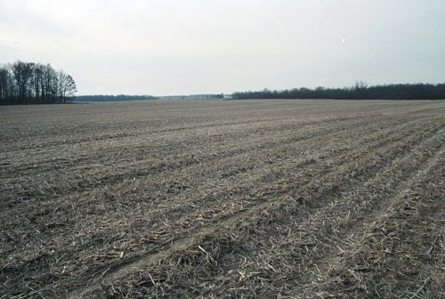 Property photo 4 - 110 Acres Offered in 3 Tracts